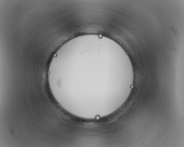 X0000114160309200910081139