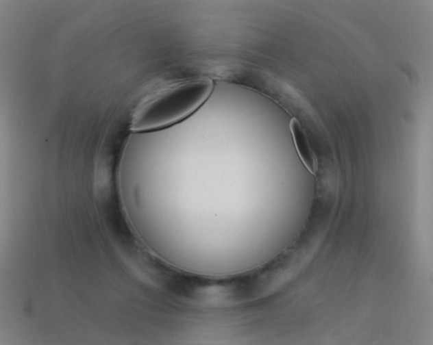 X0000114160312200910081139