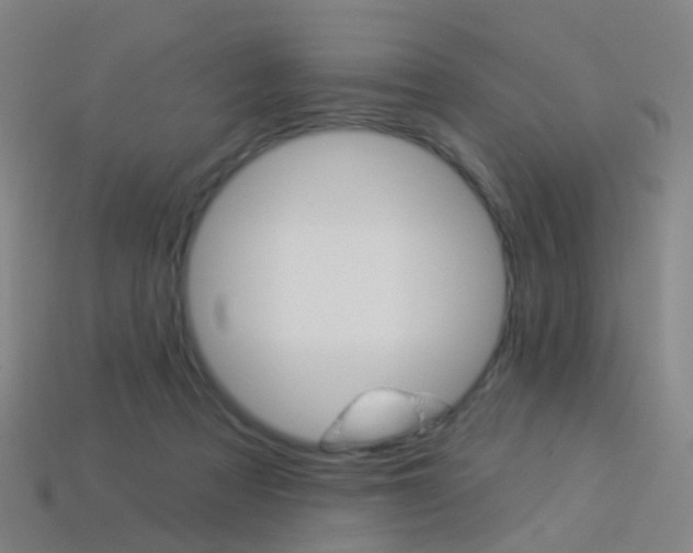 X0000114160313200910081139