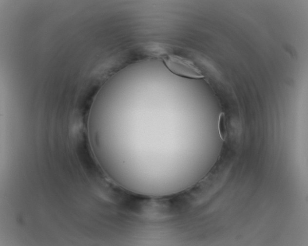 X0000114160320200910081139