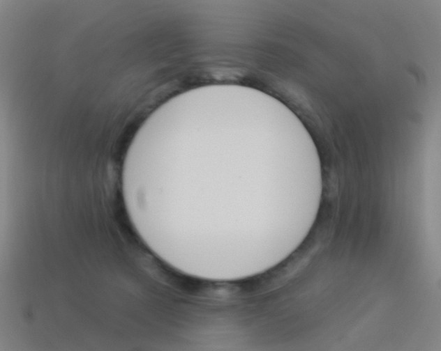 X0000114160321200910081139
