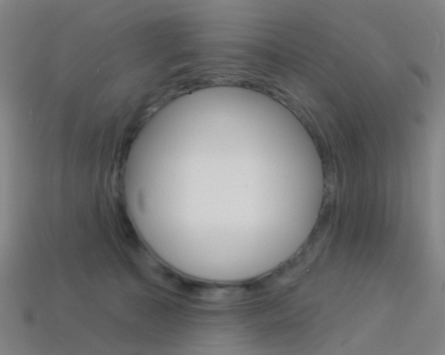 X0000114160323200910081139