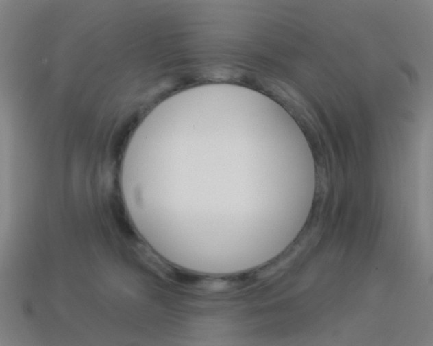 X0000114160326200910081139