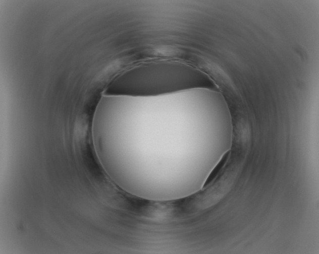 X0000114160328200910081139