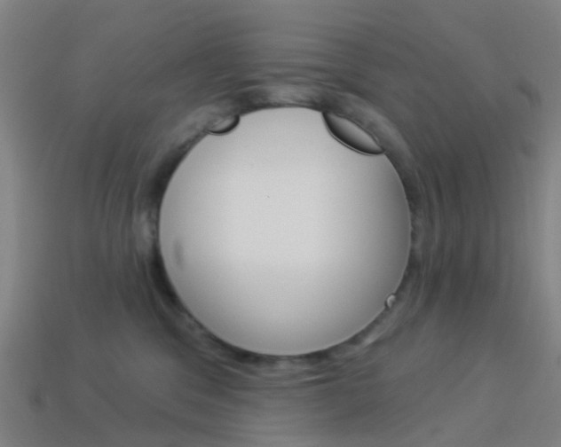 X0000114160329200910081139