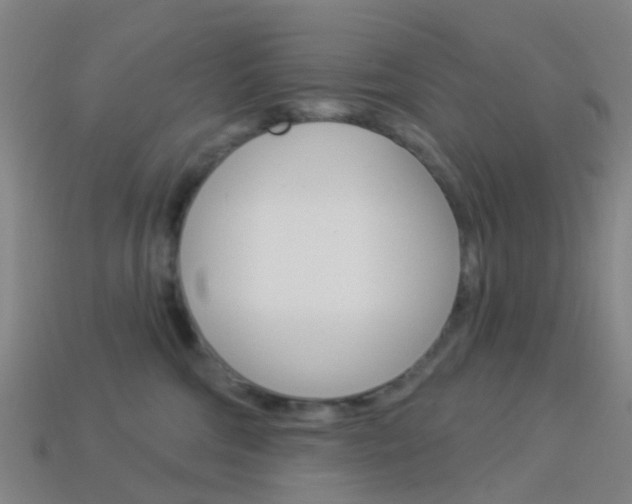 X0000114160330200910081139