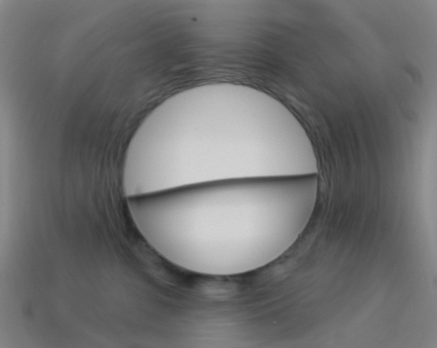 X0000114160331200910081138