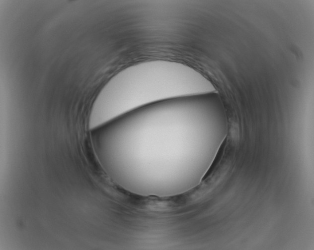 X0000114160332200910081138