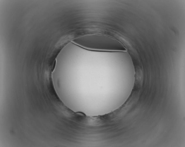 X0000114160333200910081138