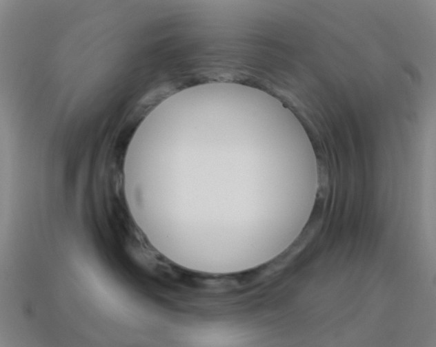 X0000114160334200910081138