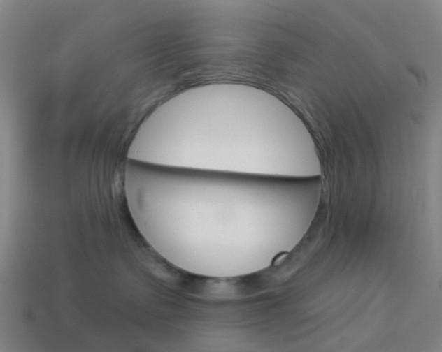 X0000114160335200910081138