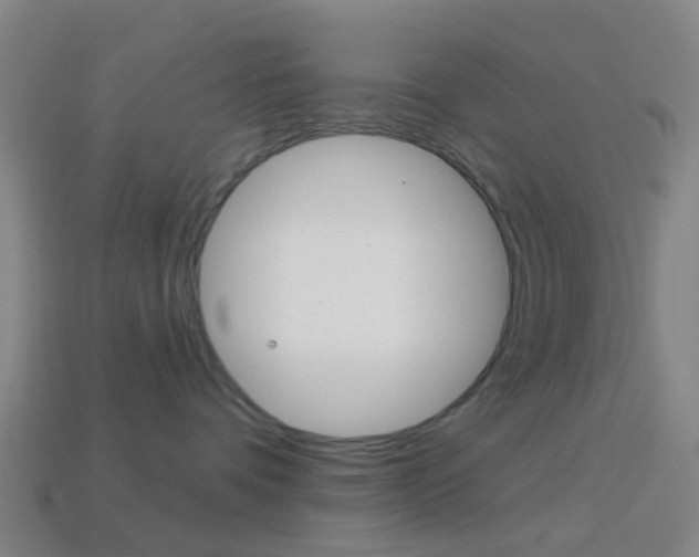 X0000114160336200910081138