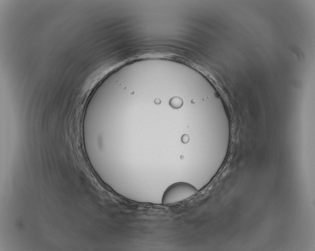 X0000114160337200910081138