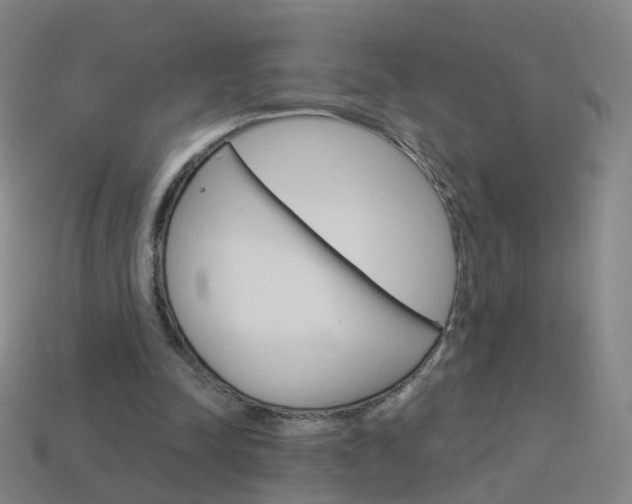 X0000114160342200910081138