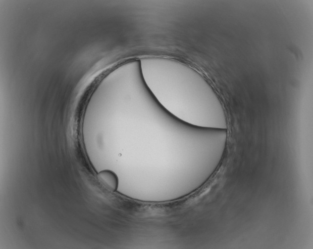 X0000114160343200910081138