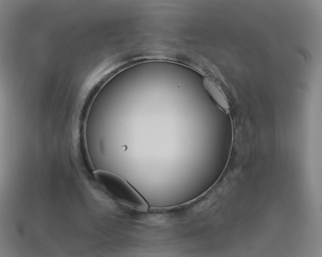 X0000114160344200910081138