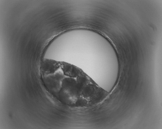 X0000114160345200910081138