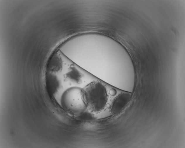 X0000114160346200910081138