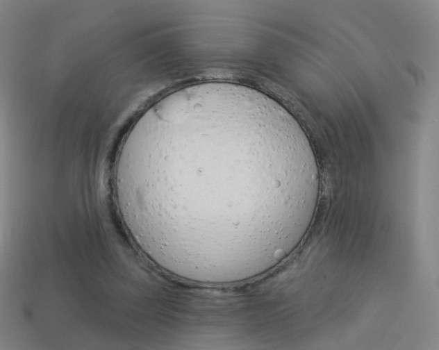 X0000114160347200910081138