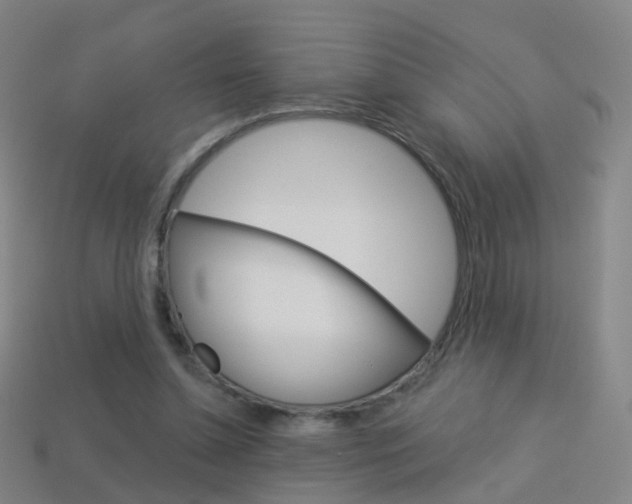 X0000114160348200910081138