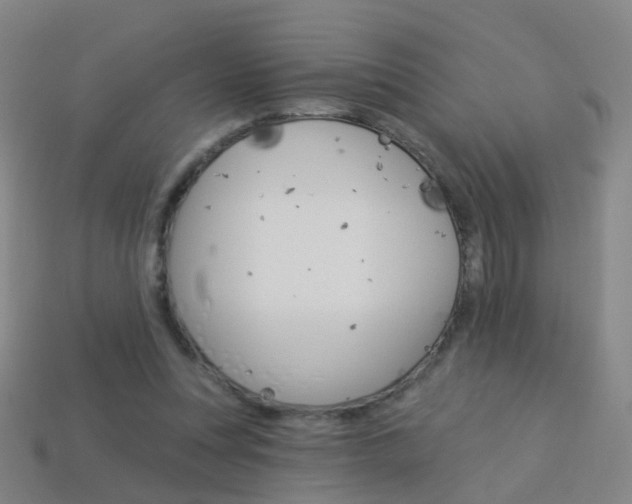 X0000114160351200910081138