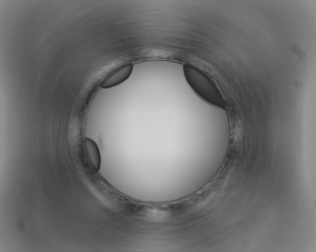 X0000114160352200910081138