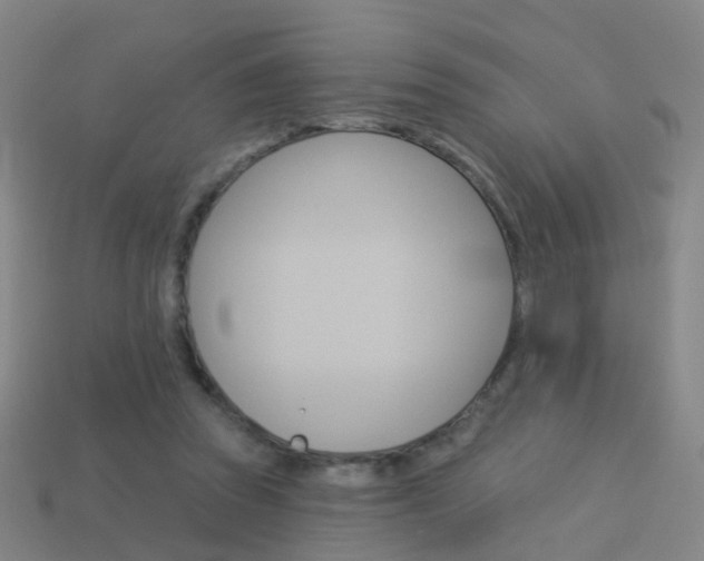 X0000114160353200910081138