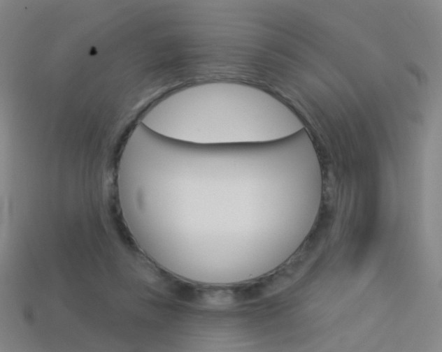 X0000114160355200910081138