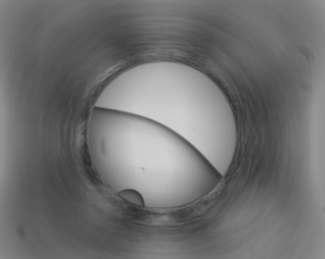 X0000114160356200910081138