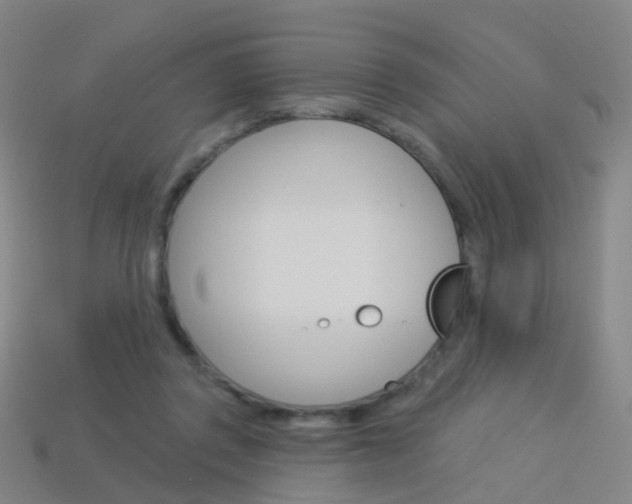 X0000114160357200910081138