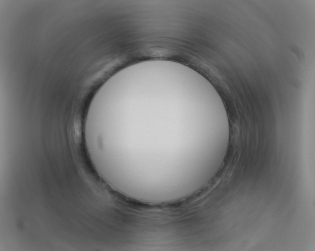 X0000114160358200910081138