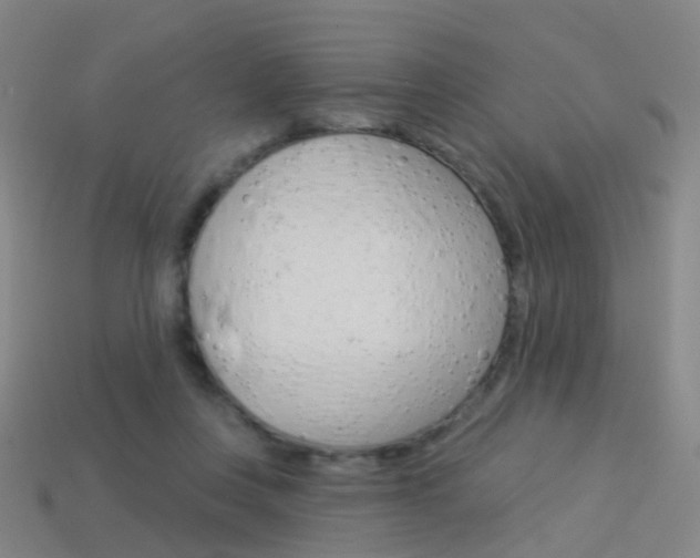 X0000114160359200910081138