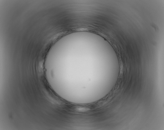 X0000114160360200910081138
