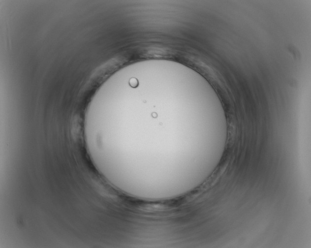 X0000114160361200910081138