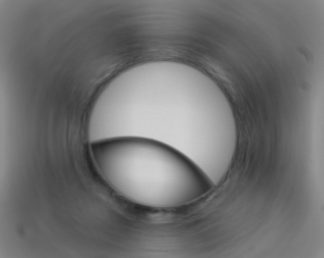 X0000114160362200910081138