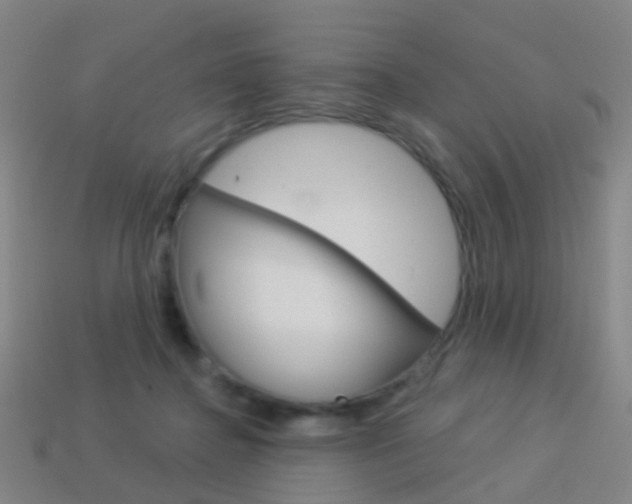 X0000114160364200910081138