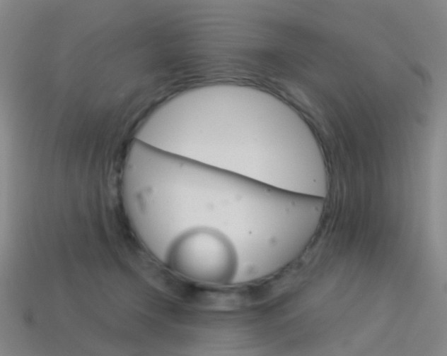 X0000114160366200910081138