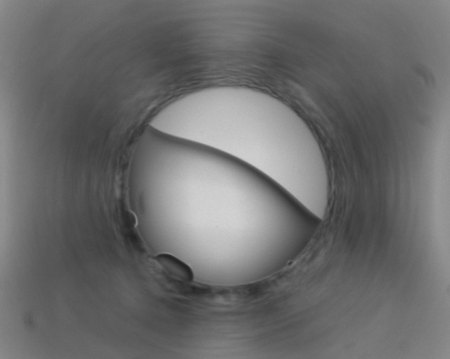 X0000114160368200910081138
