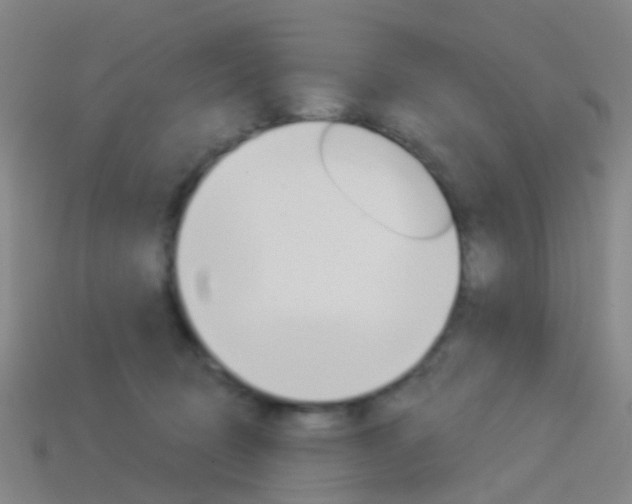 X0000114160370200910081138