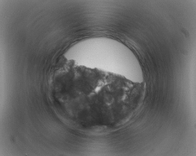 X0000114160373200910081138