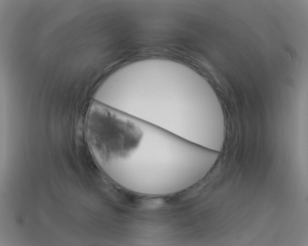 X0000114160374200910081138