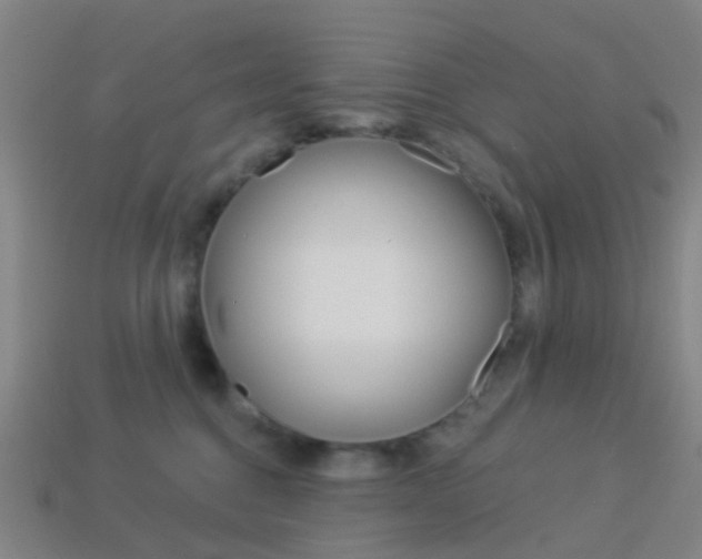 X0000114160376200910081138
