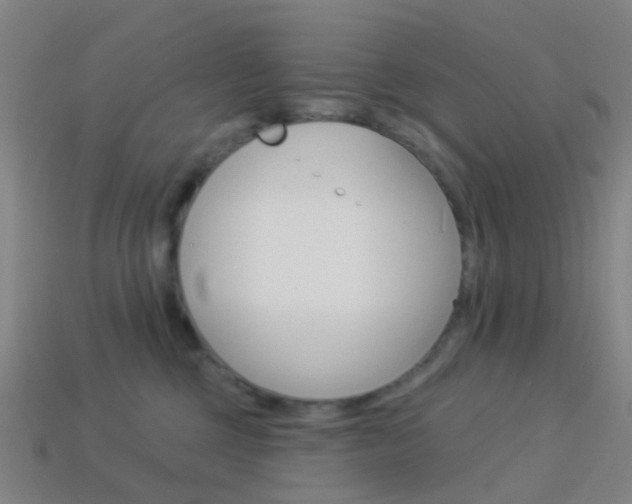 X0000114160377200910081138