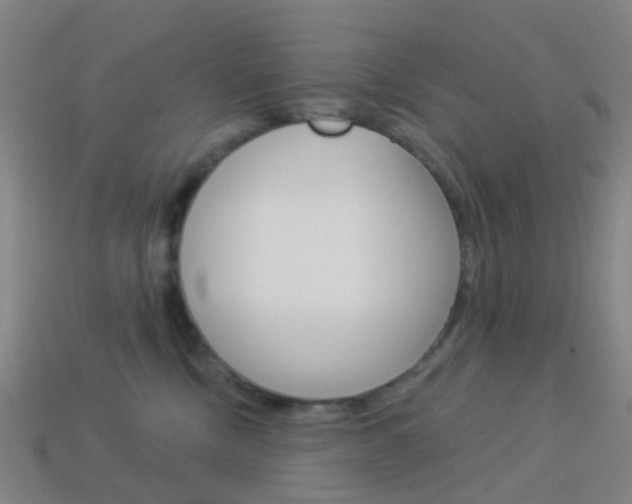 X0000114160378200910081138