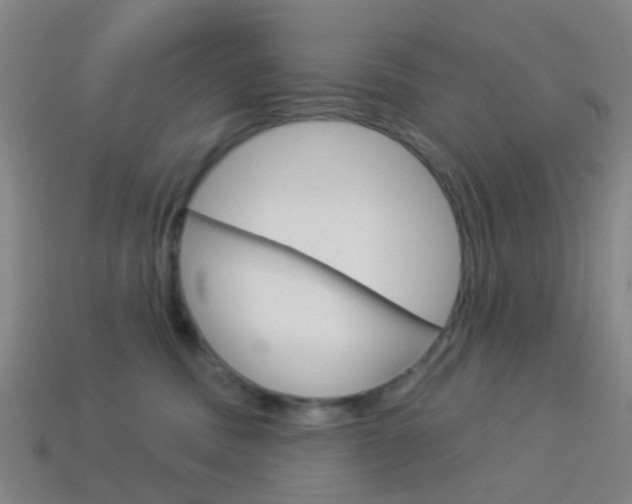X0000114160379200910081138