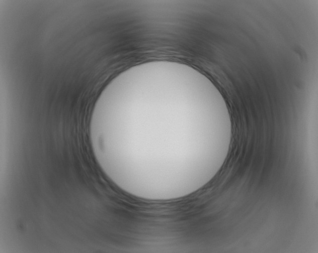 X0000114160380200910081138