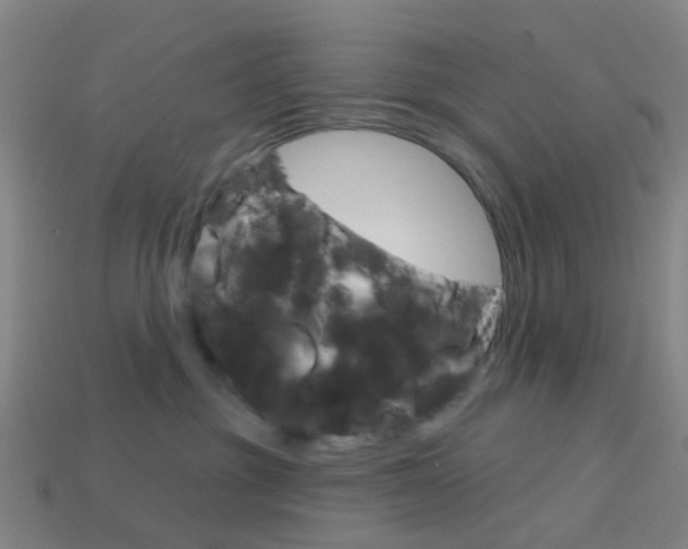 X0000114160381200910081138