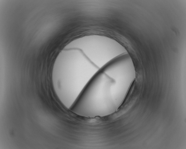 X0000114160382200910081138