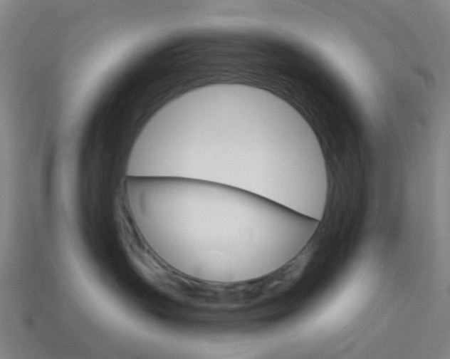 X0000114160383200910081138