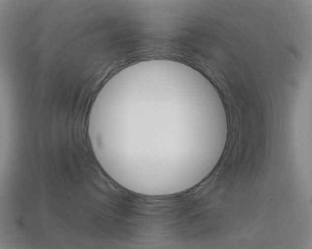 X0000114160384200910081138